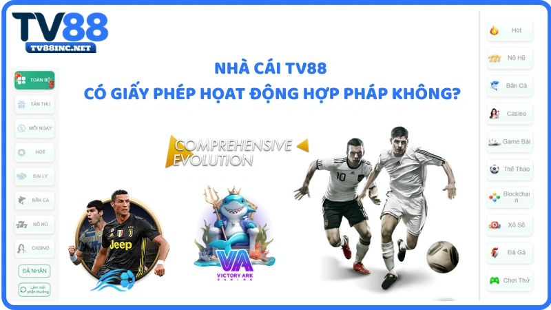 Giấy phép TV88 - TV88 có giấy phAép hoạt động hợp pháp không?